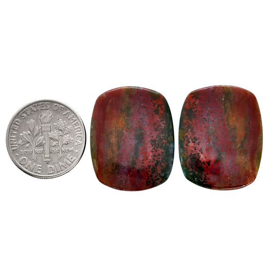 Blood Stone Pair 18.8x23.4x4 mm Cushion Shape Polished Gemstone LS32-04546