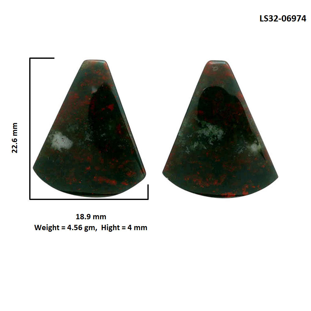 Blood Stone Pair 18.9x22.6x4 mm Fancy Shape Polished Gemstone LS32-06974