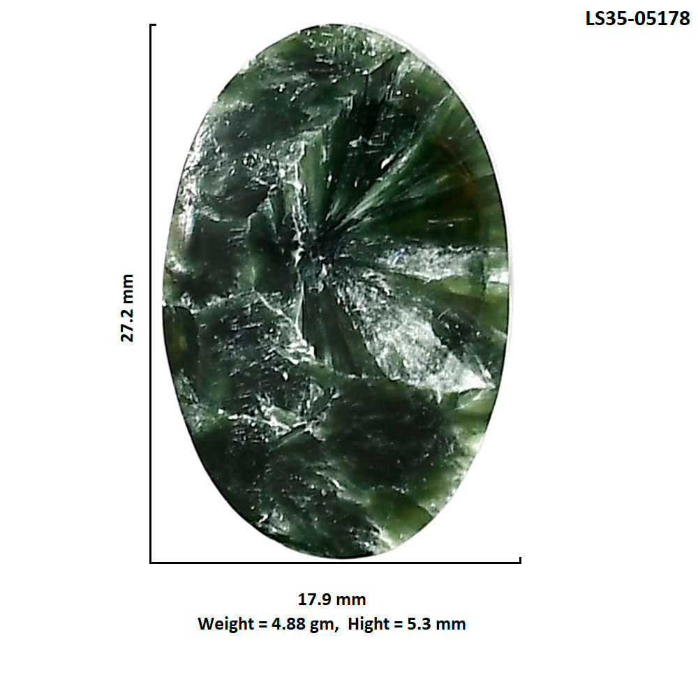 Russian Seraphinite 17.9x27.2x5.3 mm Oval Shape Polished Gemstone LS35-05178
