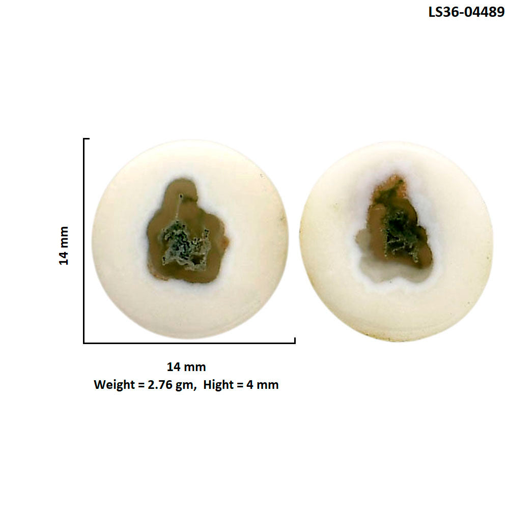 Horse Canyon Moss Agate Pair 14x14x4 mm Round Shape Polished Gemstone LS36-04489