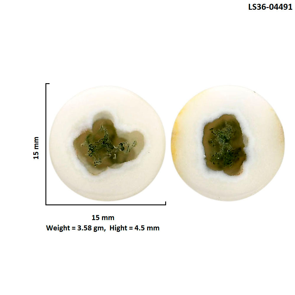 Horse Canyon Moss Agate Pair 15x15x4.5 mm Round Shape Polished Gemstone LS36-04491