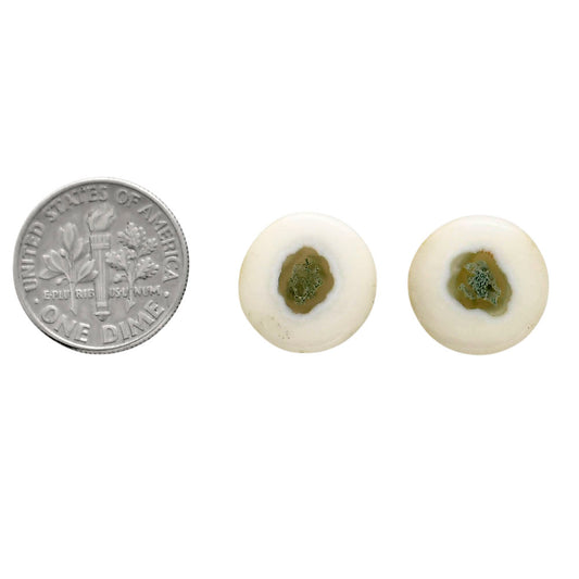 Horse Canyon Moss Agate Pair 14x14x4 mm Round Shape Polished Gemstone LS36-04494
