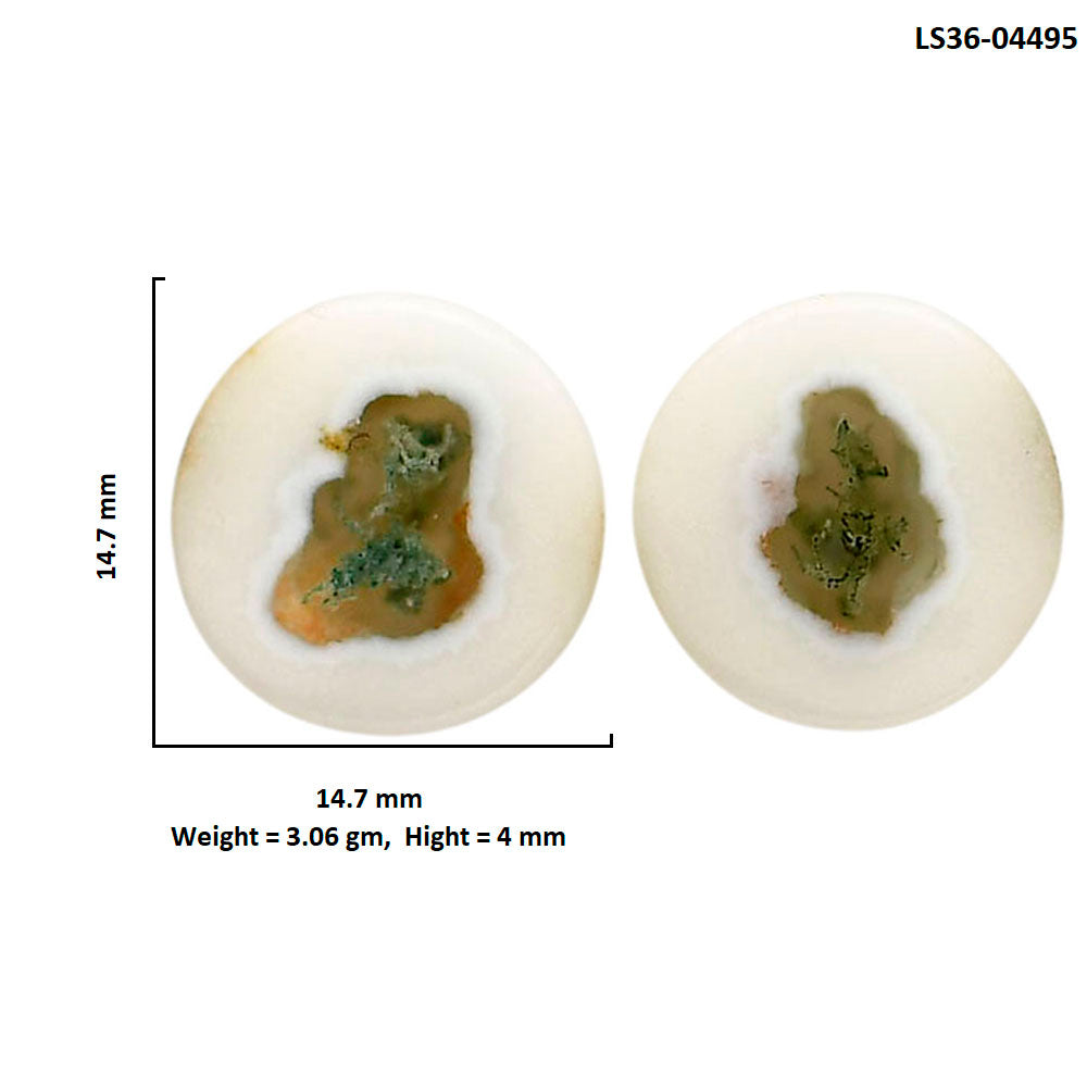 Horse Canyon Moss Agate Pair 14.7x14.7x4 mm Round Shape Polished Gemstone LS36-04495
