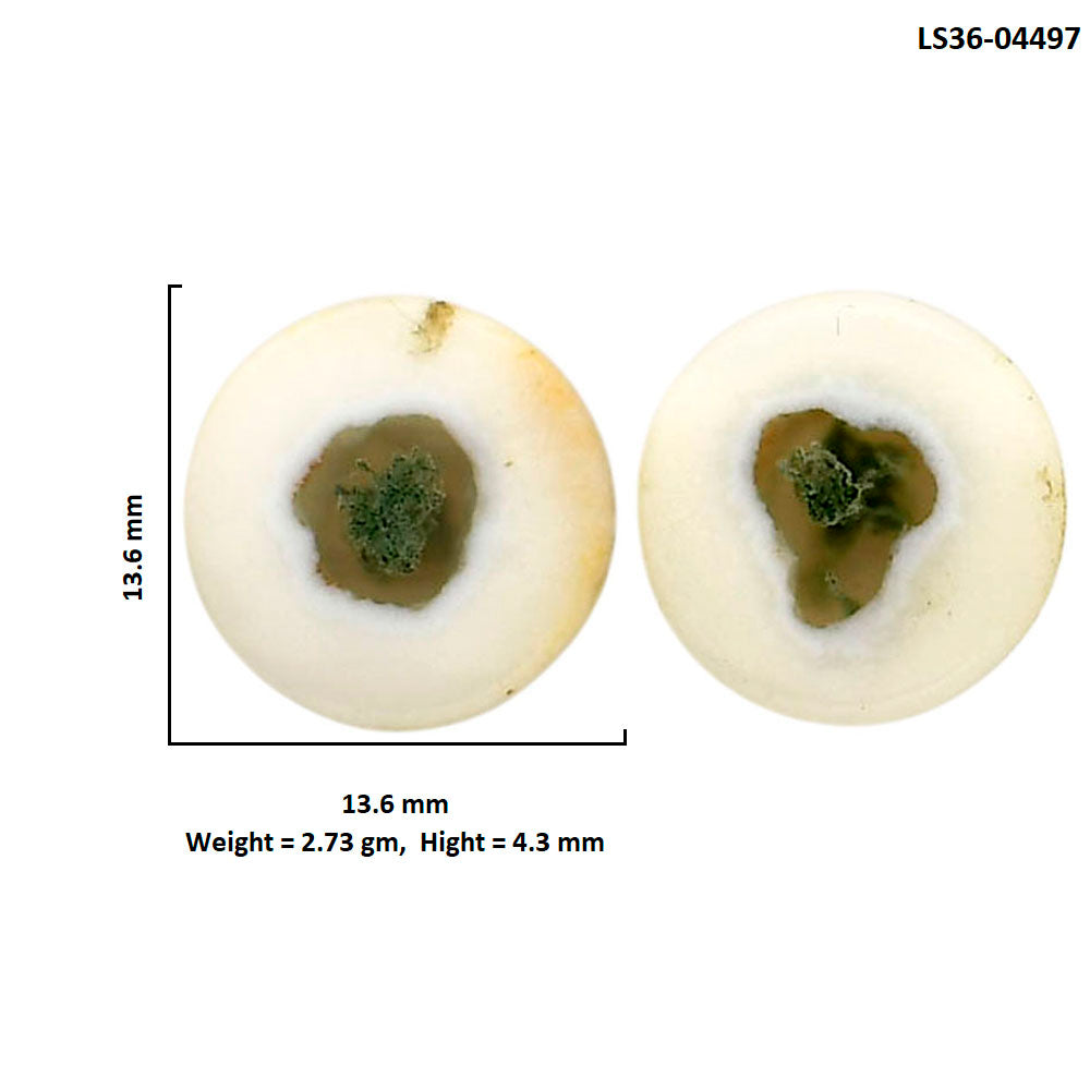 Horse Canyon Moss Agate Pair 13.6x13.6x4.3 mm Round Shape Polished Gemstone LS36-04497