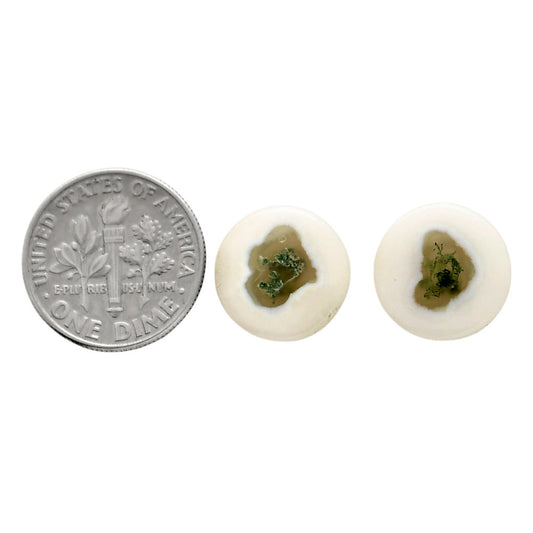 Horse Canyon Moss Agate Pair 13.2x13.2x4 mm Round Shape Polished Gemstone LS36-04498