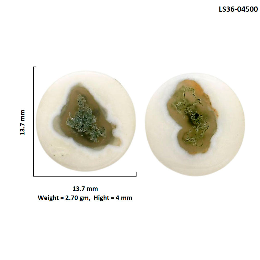 Horse Canyon Moss Agate Pair 13.7x13.7x4 mm Round Shape Polished Gemstone LS36-04500
