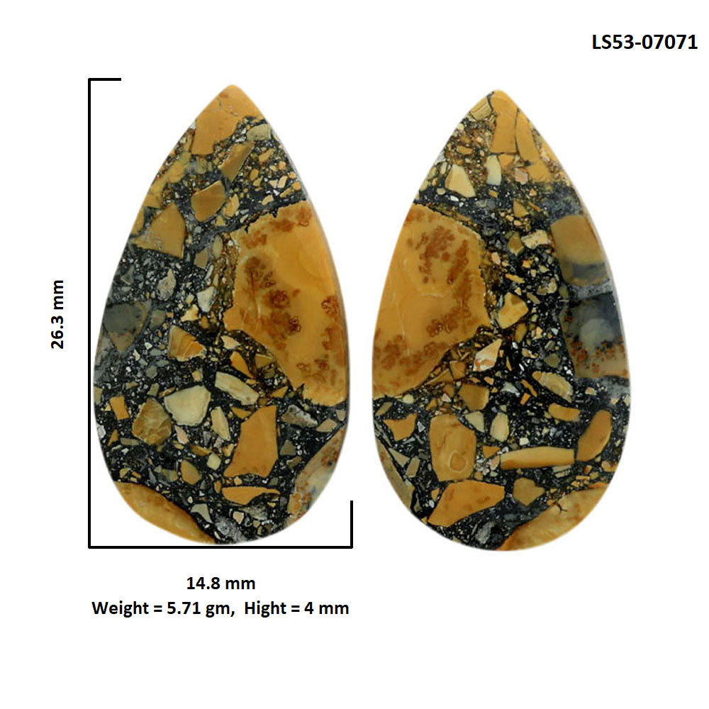 Maligano Jasper Pair 14.8x26.3x4 mm Pear Shape Polished Gemstone LS53-07071