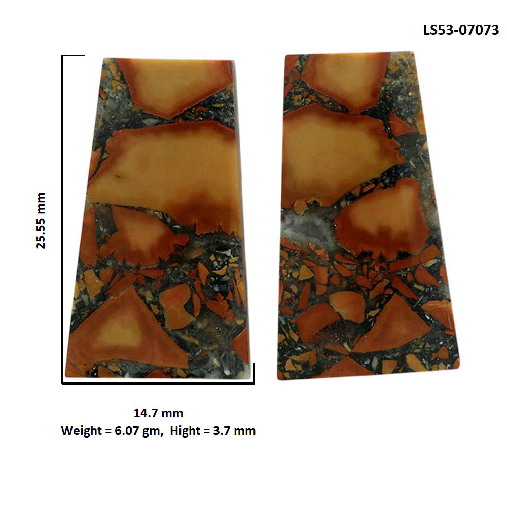 Maligano Jasper Pair 14.7x25.55x3.7 mm Fancy Shape Polished Gemstone LS53-07073