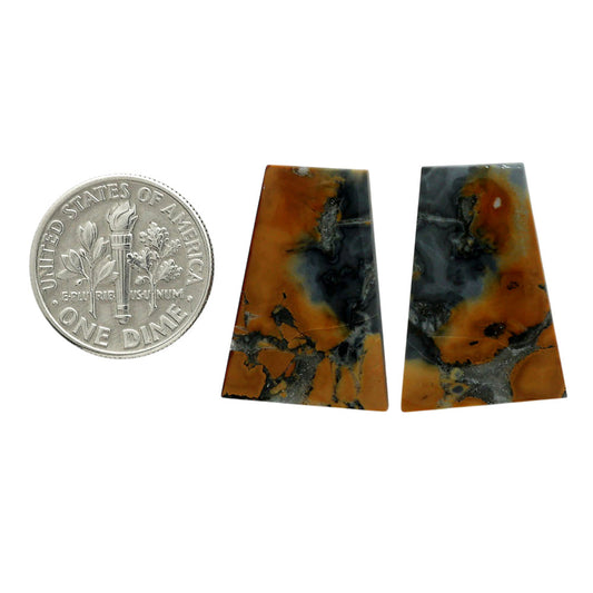 Maligano Jasper Pair 15.9x22.9x3.8 mm Fancy Shape Polished Gemstone LS53-07075