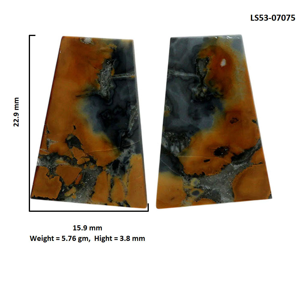 Maligano Jasper Pair 15.9x22.9x3.8 mm Fancy Shape Polished Gemstone LS53-07075