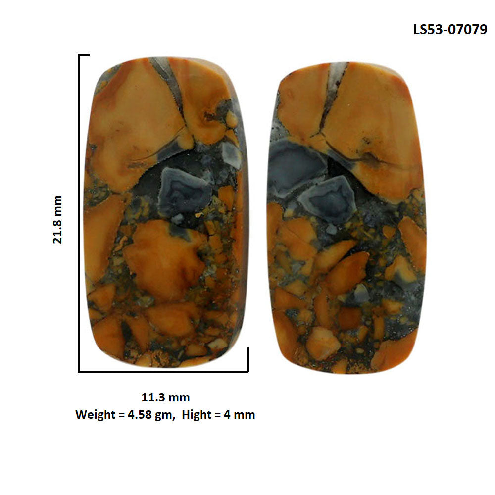 Maligano Jasper Pair 11.3x21.8x4 mm Cushion Shape Polished Gemstone LS53-07079