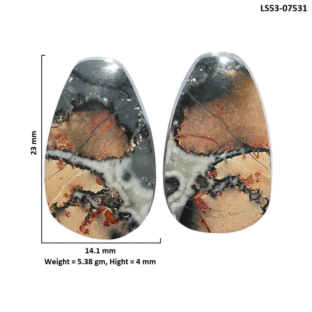 Maligano Jasper Pair 14.1x23x4 mm Fancy Shape Polished Gemstone LS53-07531