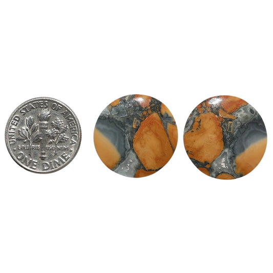 Maligano Jasper Pair 19.2x19.2x4 mm Round Shape Polished Gemstone LS53-07534