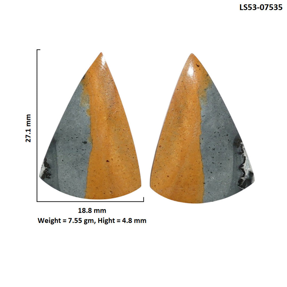 Maligano Jasper Pair 18.8x27.1x4.8 mm Fancy Shape Polished Gemstone LS53-07535