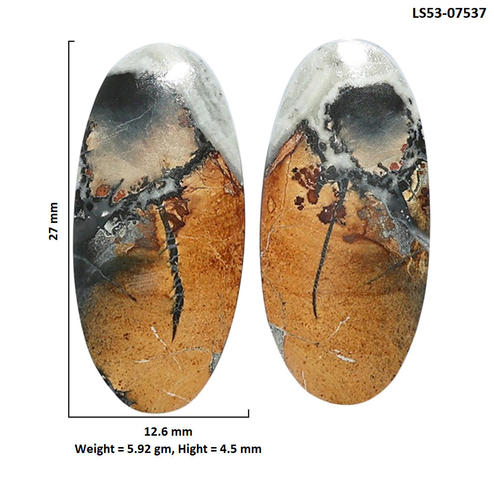 Maligano Jasper Pair 12.6x27x4.5 mm Oval Shape Polished Gemstone LS53-07537