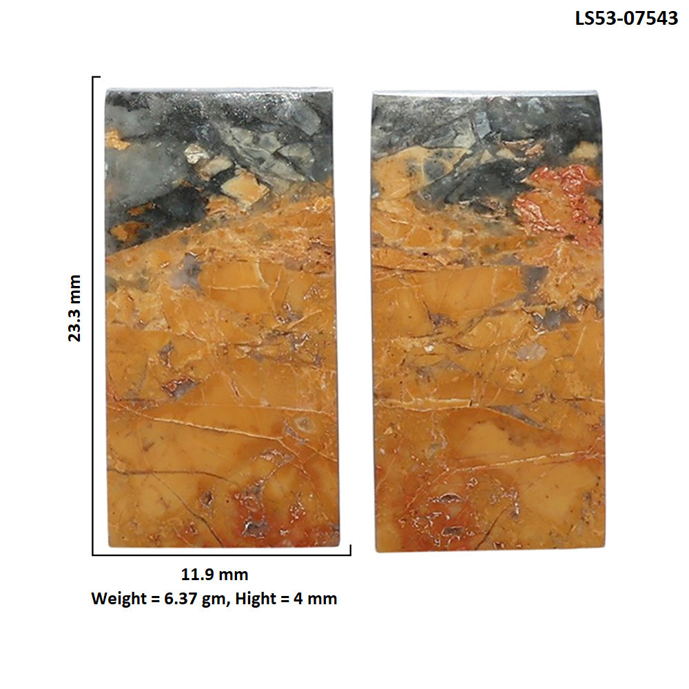 Maligano Jasper Pair 11.9x23.3x4 mm Baguette Shape Polished Gemstone LS53-07543