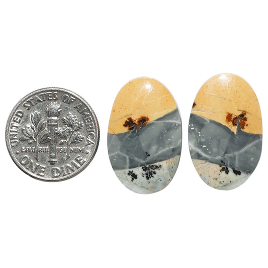 Maligano Jasper Pair 14x21.9x4 mm Oval Shape Polished Gemstone LS53-07547