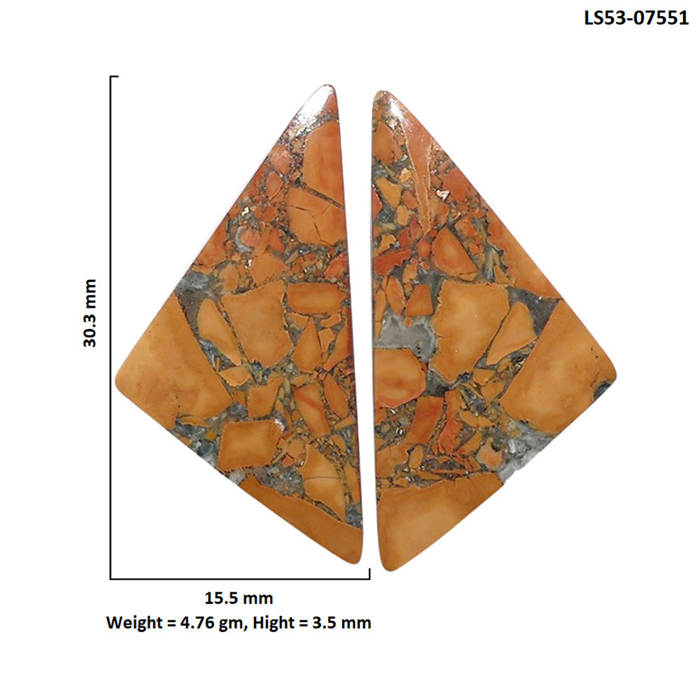 Maligano Jasper Pair 15.5x30.3x3.5 mm Fancy Shape Polished Gemstone LS53-07551
