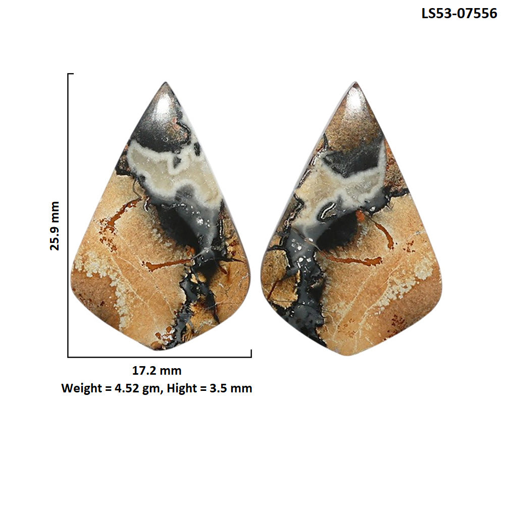 Maligano Jasper Pair 17.2x25.9x3.5 mm Fancy Shape Polished Gemstone LS53-07556