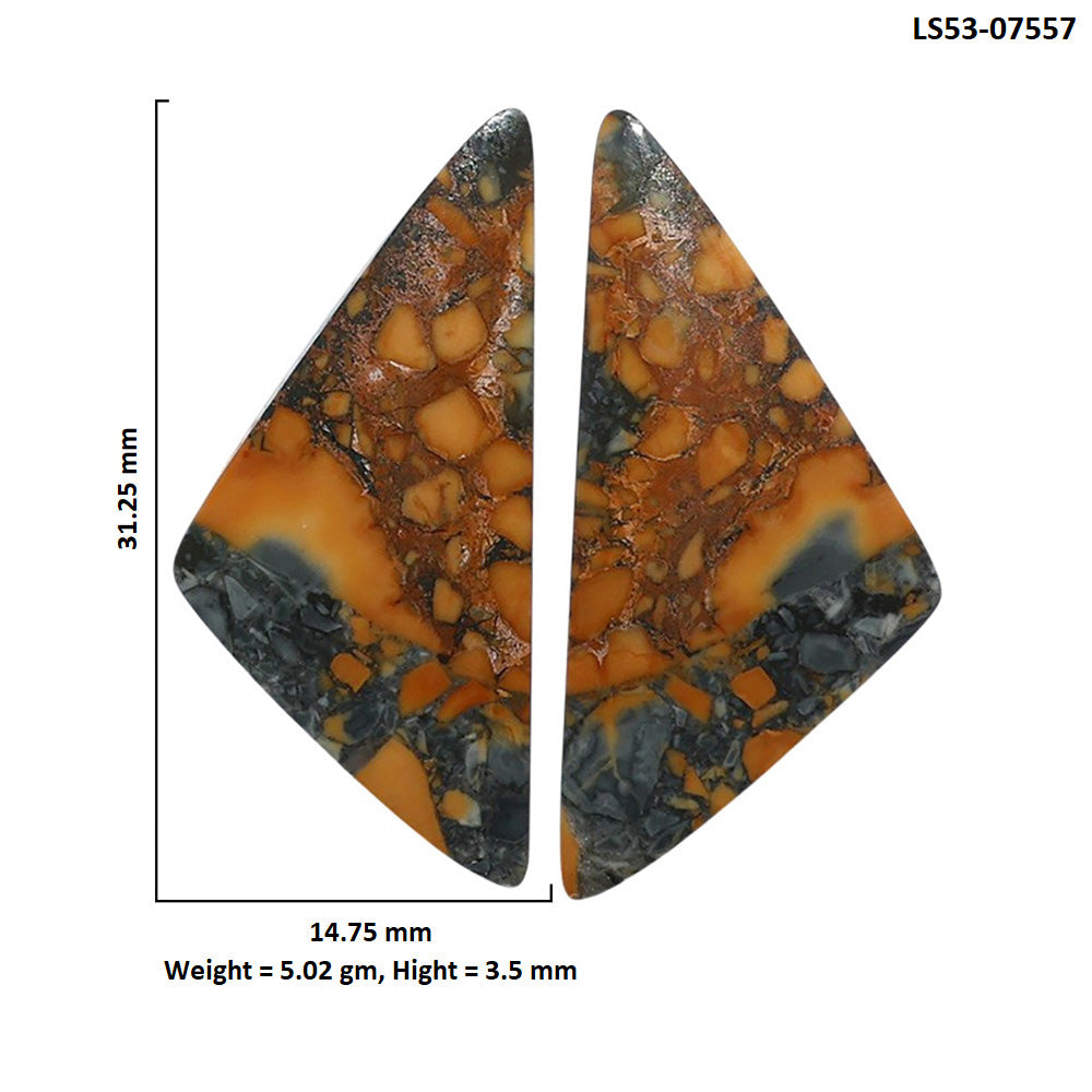 Maligano Jasper Pair 14.75x31.25x3.5 mm Fancy Shape Polished Gemstone LS53-07557
