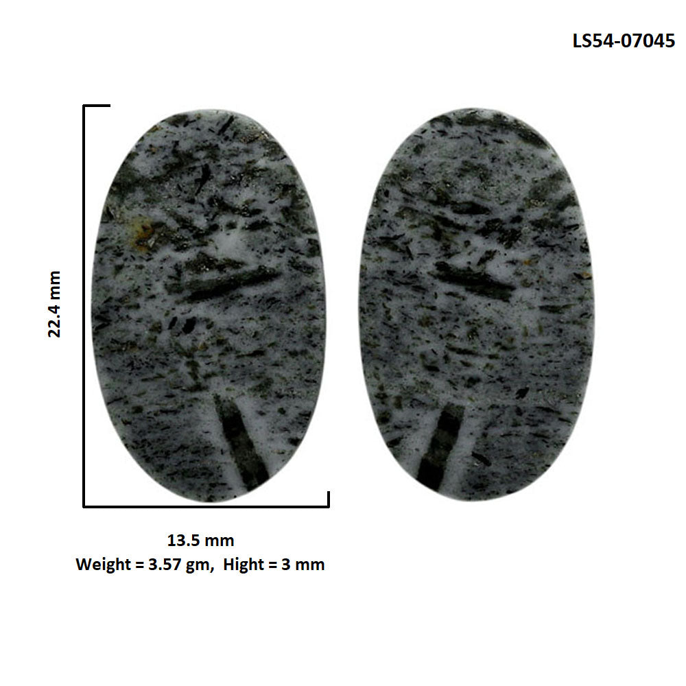 Hornblende Pair 13.5x22.4x3 mm Oval Shape Polished Gemstone LS54-07045