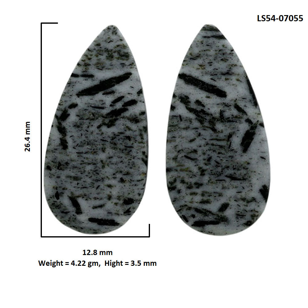 Hornblende Pair 12.8x26.4x3.5 mm Pear Shape Polished Gemstone LS54-07055