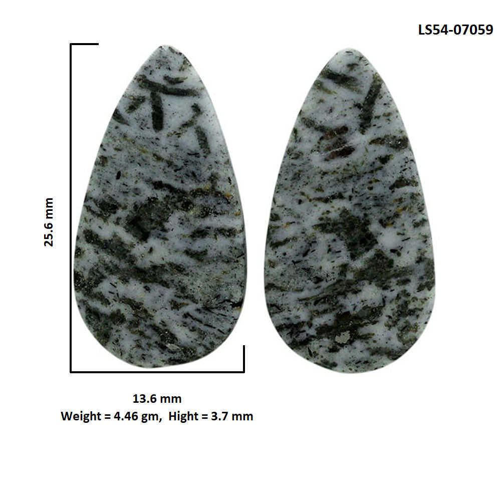 Hornblende Pair 13.6x25.6x3.7 mm Pear Shape Polished Gemstone LS54-07059