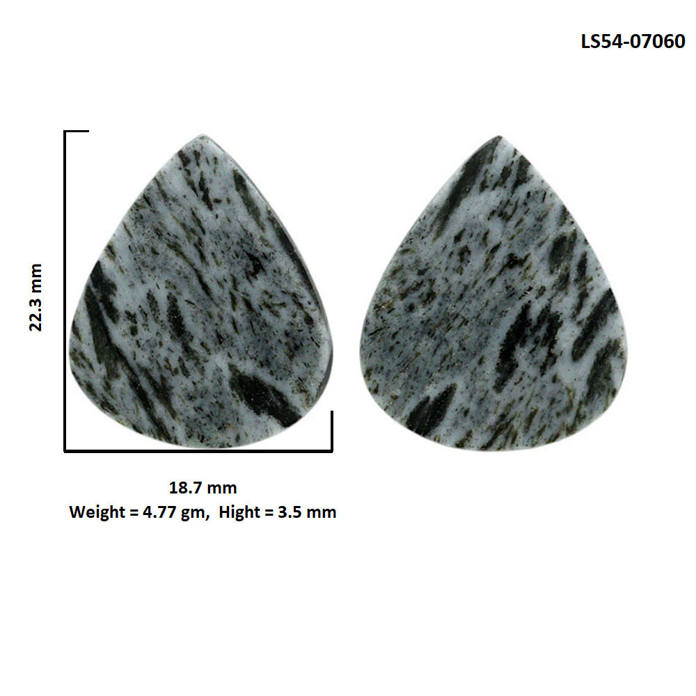 Hornblende Pair 18.7x22.3x3.5 mm Heart Shape Polished Gemstone LS54-07060
