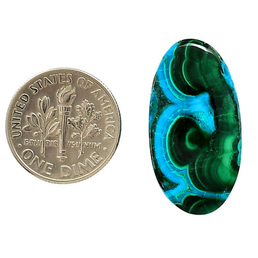Azurite Malachite 4.2x27x5 mm Oval Shape Polished Gemstone LS63-05624