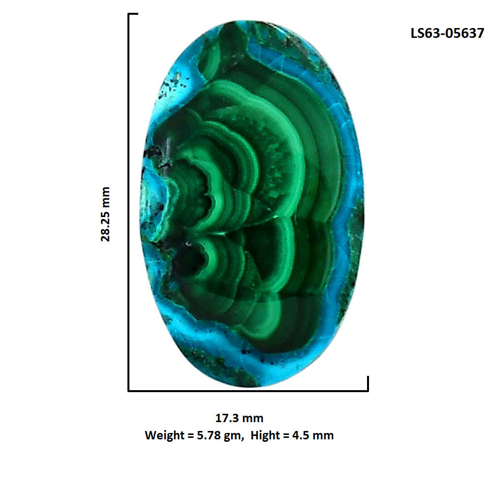 Azurite Malachite 17.3x28.25x4.5 mm Oval Shape Polished Gemstone LS63-05637