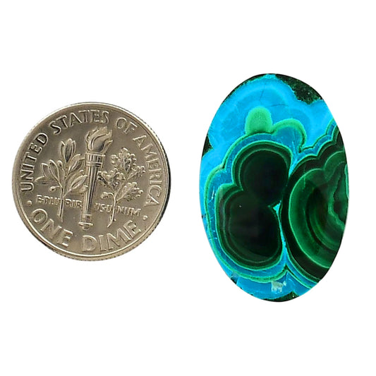 Azurite Malachite 25.56x16.92x4.65 mm Oval Shape Polished Gemstone LS63-05645