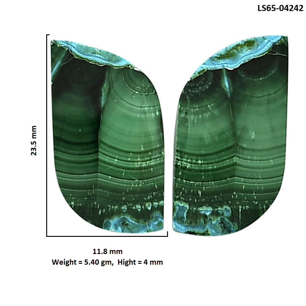 Malachite Eye Pair 11.8x23.5x4 mm Fancy Shape Polished Gemstone LS65-04242