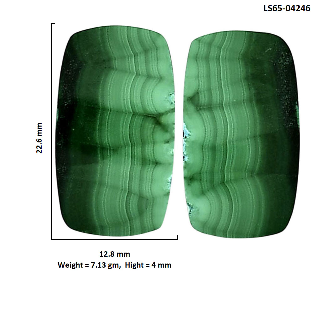 Malachite Eye Pair 12.8x22.6x4 mm Cushion Shape Polished Gemstone LS65-04246