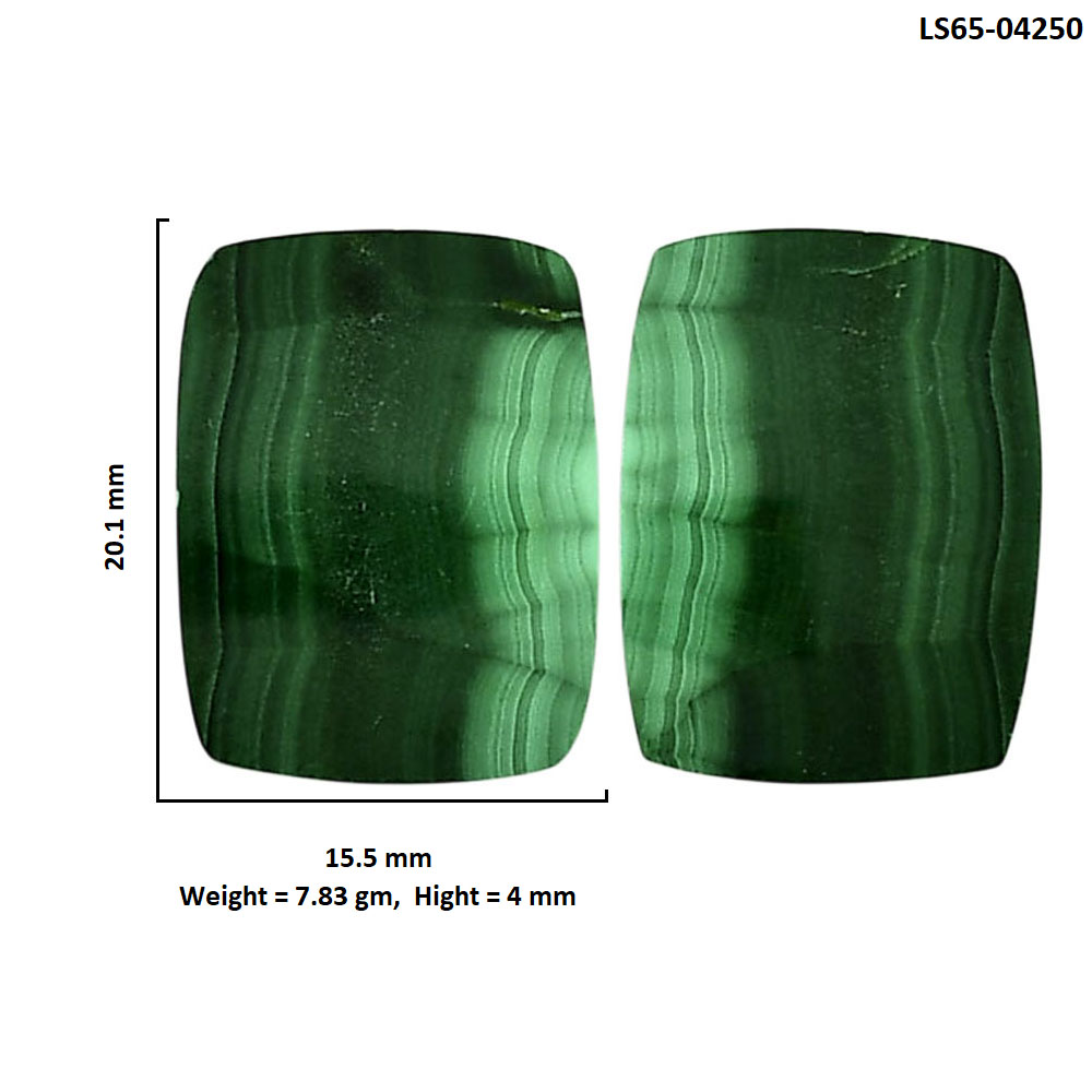 Malachite Eye Pair 15.5x20.1x4 mm Baguette Shape Polished Gemstone LS65-04250