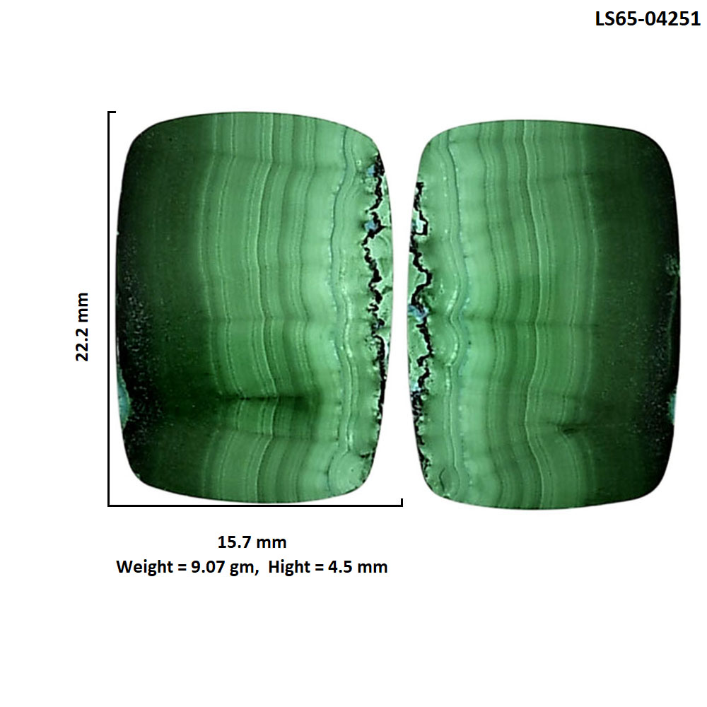 Malachite Eye Pair 15.7x22.2x4.5 mm Cushion Shape Polished Gemstone LS65-04251