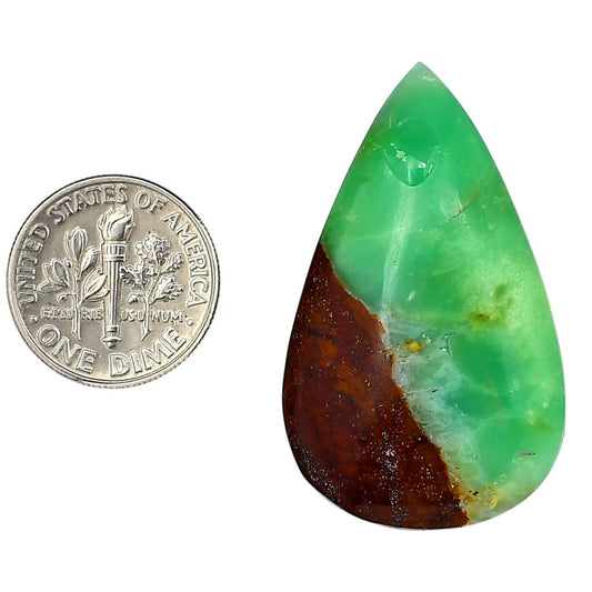 Boulder Chrysoprase 23.6x39x6.7 mm Pear Shape Polished Gemstone LS67-06317