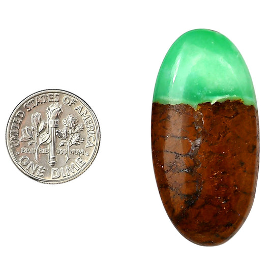 Boulder Chrysoprase 20.3x40.6x7 mm Oval Shape Polished Gemstone LS67-06319