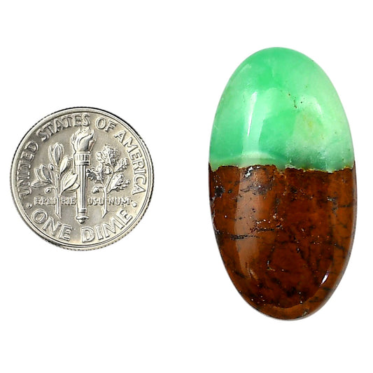 Boulder Chrysoprase 18.2x33.7x6.5 mm Oval Shape Polished Gemstone LS67-06325