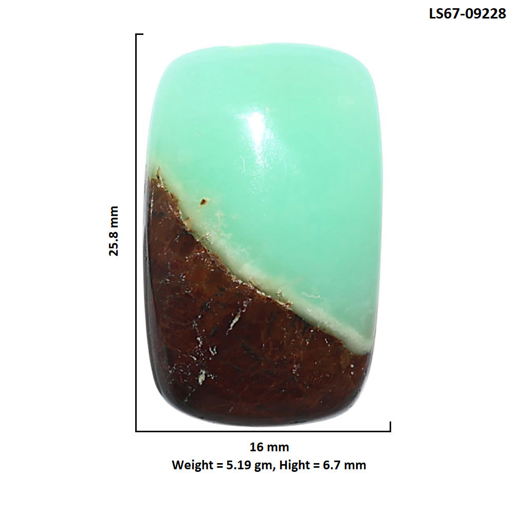 Natural Boulder Chrysoprase 16x25.8x6.7 mm Cushion Shape Polished Gemstone LS67-09228