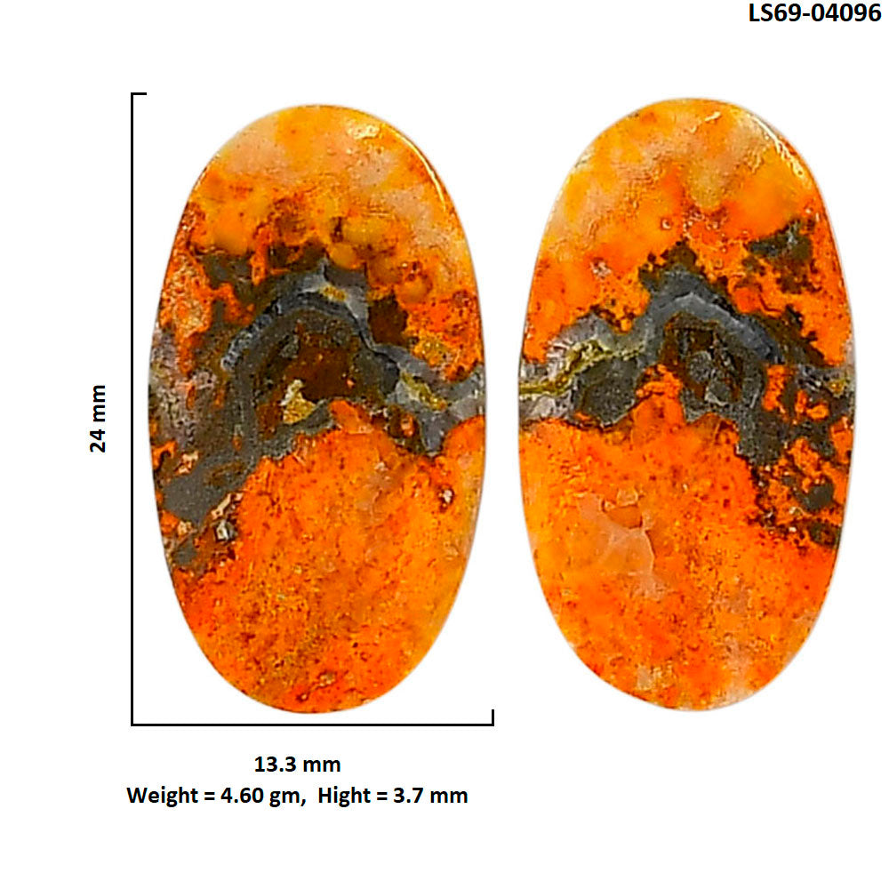 Indonesian Bumble Bee Pair 13.3x24x3.7 mm Oval Shape Polished Gemstone LS69-04096
