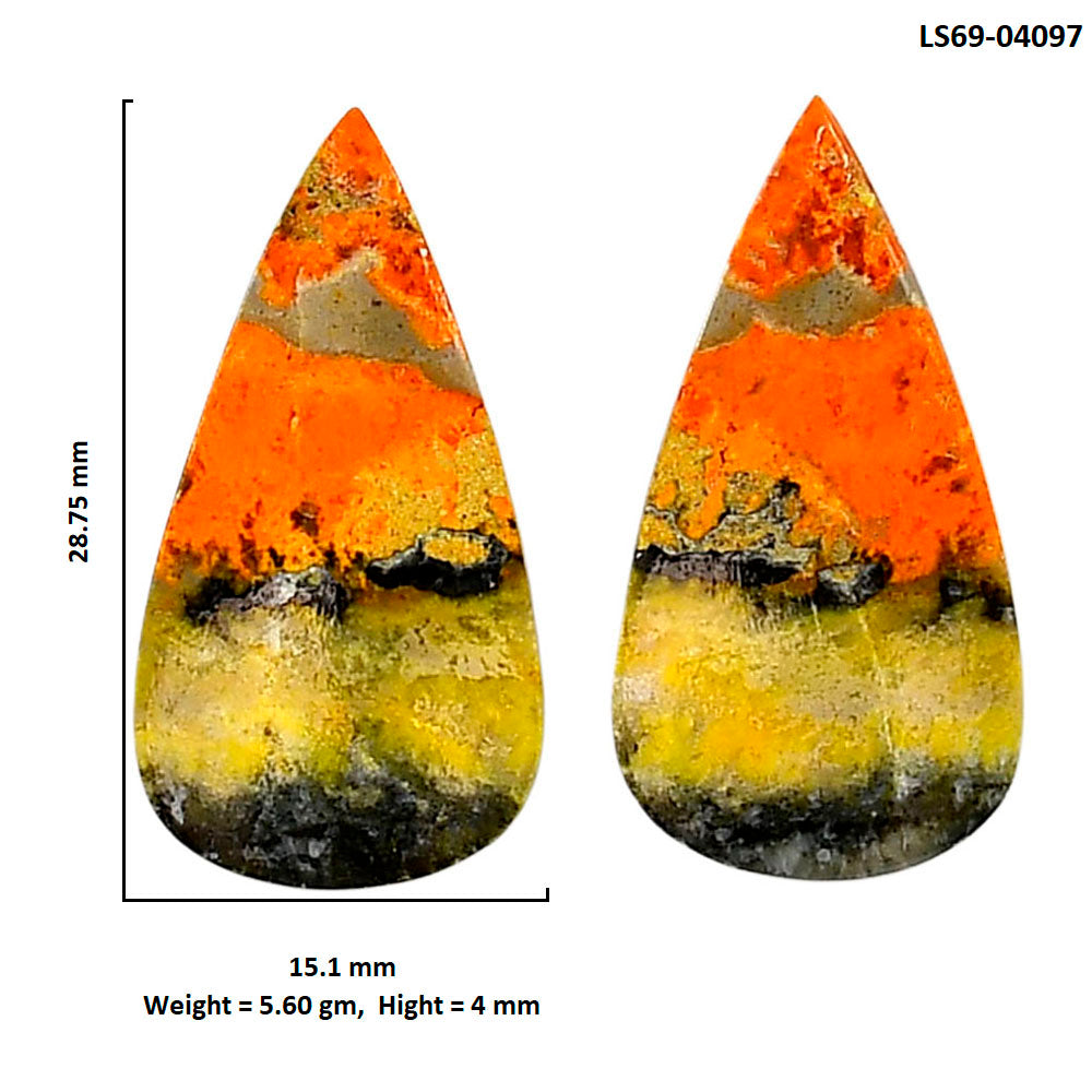 Indonesian Bumble Bee Pair 15.1x28.75x4 mm Pear Shape Polished Gemstone LS69-04097