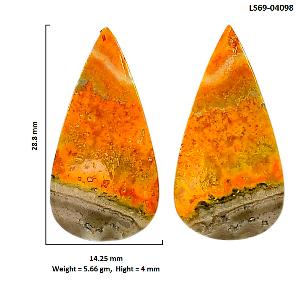 Indonesian Bumble Bee Pair 14.25x28.8x4 mm Pear Shape Polished Gemstone LS69-04098