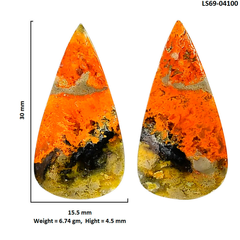 Indonesian Bumble Bee Pair 15.5x30x4.5 mm Pear Shape Polished Gemstone LS69-04100