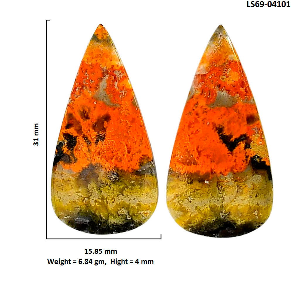 Indonesian Bumble Bee Pair 15.85x31x4 mm Pear Shape Polished Gemstone LS69-04101