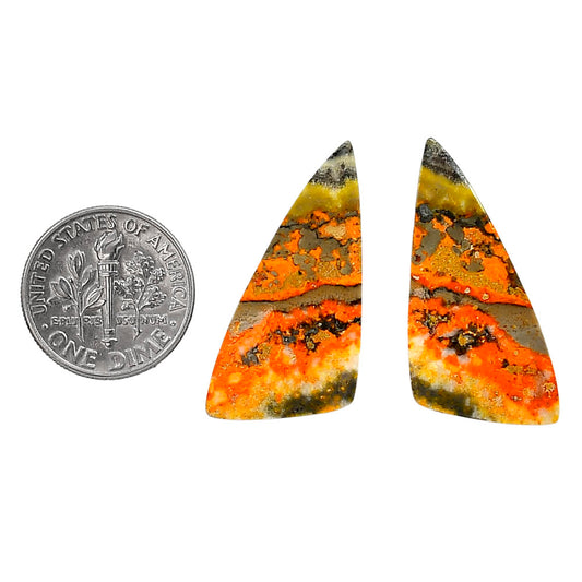 Indonesian Bumble Bee Pair 14.7x31.6x3.5 mm Fancy Shape Polished Gemstone LS69-04106