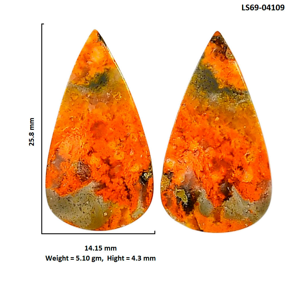 Indonesian Bumble Bee Pair 14.15x25.8x4.3 mm Pear Shape Polished Gemstone LS69-04109