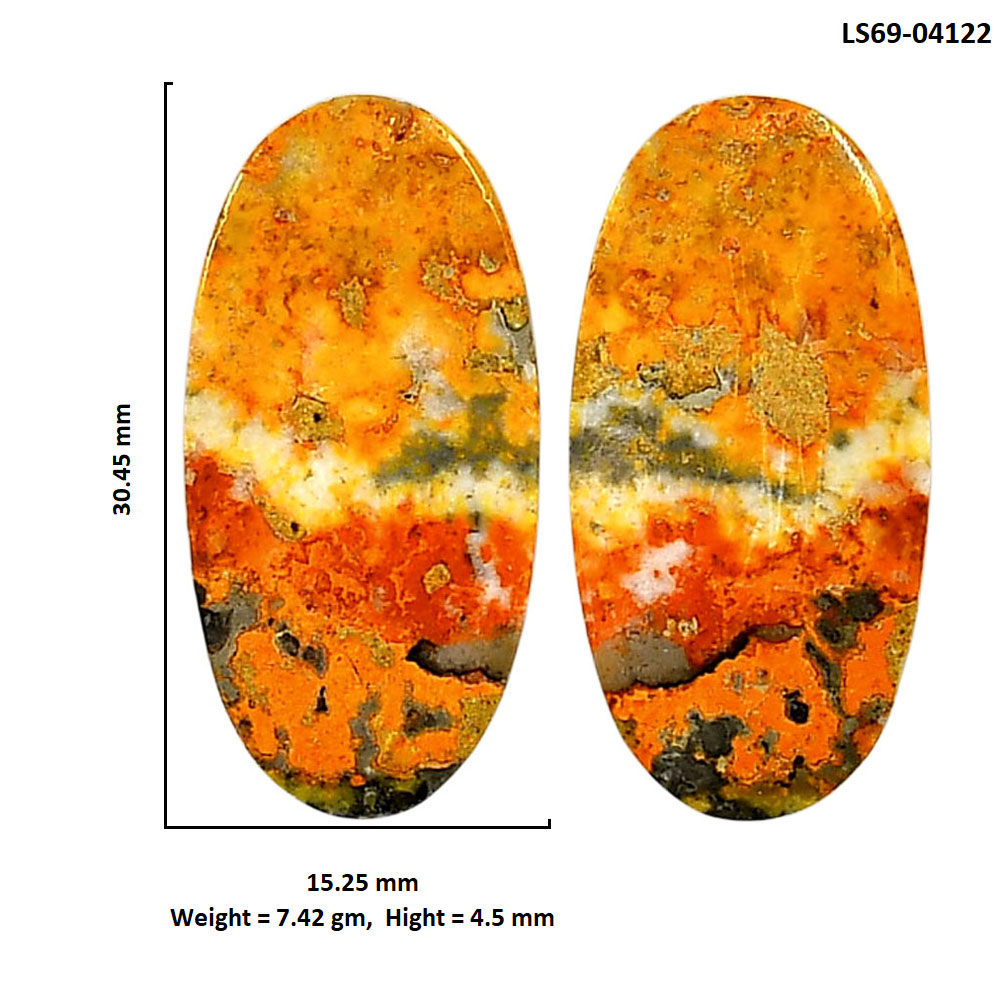 Indonesian Bumble Bee Pair 15.25x30.45x4.5 mm Oval Shape Polished Gemstone LS69-04122