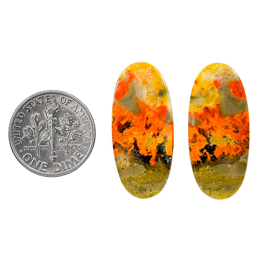 Indonesian Bumble Bee Pair 12.7x28x3 mm Oval Shape Polished Gemstone LS69-04124