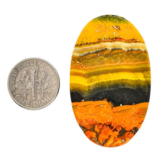 Indonesian Bumble Bee 27.3x44.6x5.5 mm Oval Shape Polished Gemstone LS69-05875