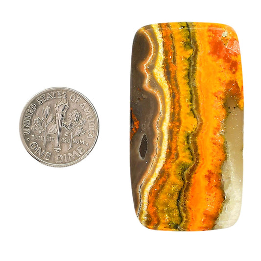 Indonesian Bumble Bee 25.4x46.2x5.5 mm Cushion Shape Polished Gemstone LS69-05877